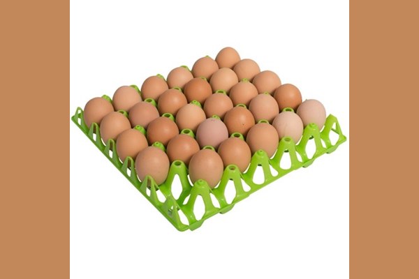 Eierhorde für 30 Hühnereier, grün, 302x304 mm, Eiermass max 49 mm 170153