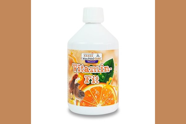 Vitamin-Fit 500 ml 280055